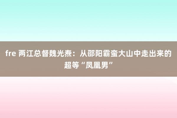 fre 两江总督魏光焘：从邵阳霸蛮大山中走出来的超等“凤凰男”