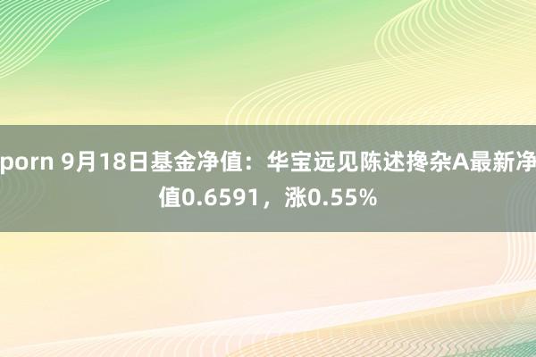 porn 9月18日基金净值：华宝远见陈述搀杂A最新净值0.6591，涨0.55%