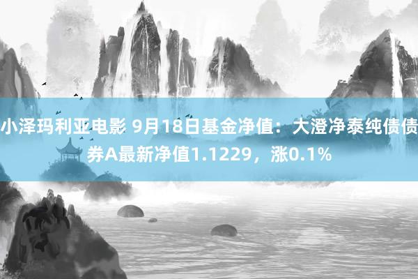 小泽玛利亚电影 9月18日基金净值：大澄净泰纯债债券A最新净值1.1229，涨0.1%