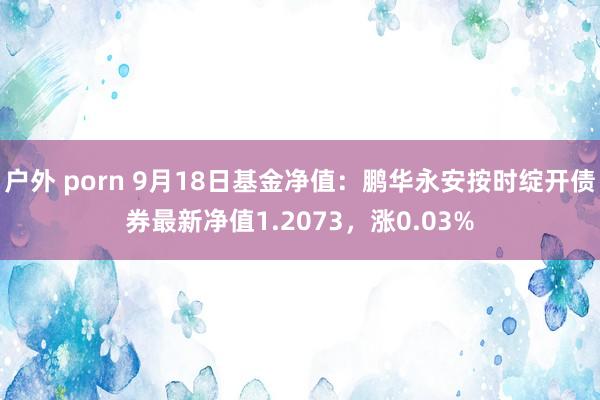 户外 porn 9月18日基金净值：鹏华永安按时绽开债券最新净值1.2073，涨0.03%