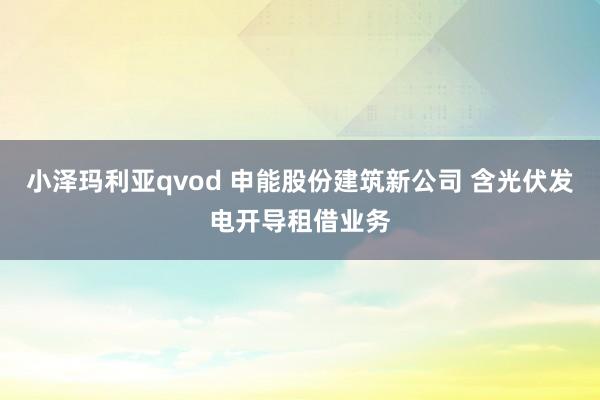 小泽玛利亚qvod 申能股份建筑新公司 含光伏发电开导租借业务