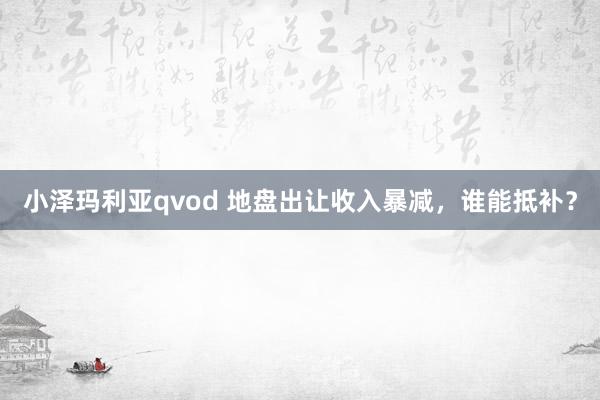 小泽玛利亚qvod 地盘出让收入暴减，谁能抵补？