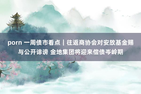 porn 一周债市看点｜往返商协会对安放基金赐与公开诽谤 金地集团将迎来偿债岑岭期