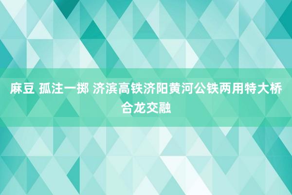 麻豆 孤注一掷 济滨高铁济阳黄河公铁两用特大桥合龙交融