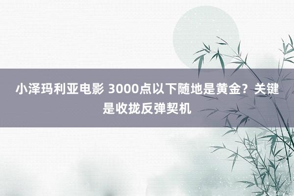 小泽玛利亚电影 3000点以下随地是黄金？关键是收拢反弹契机