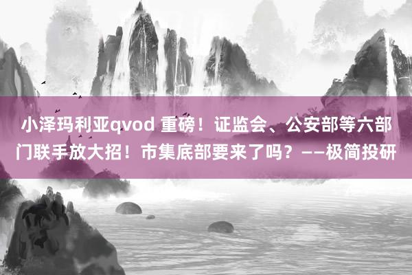 小泽玛利亚qvod 重磅！证监会、公安部等六部门联手放大招！市集底部要来了吗？——极简投研