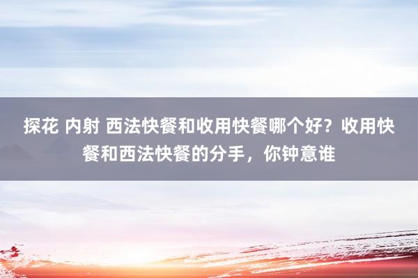 探花 内射 西法快餐和收用快餐哪个好？收用快餐和西法快餐的分手，你钟意谁