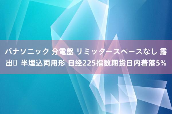 パナソニック 分電盤 リミッタースペースなし 露出・半埋込両用形 日经225指数期货日内着落5%