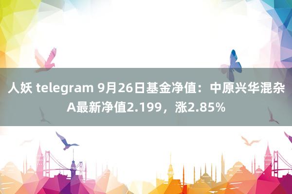 人妖 telegram 9月26日基金净值：中原兴华混杂A最新净值2.199，涨2.85%