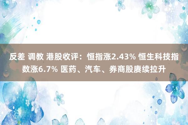 反差 调教 港股收评：恒指涨2.43% 恒生科技指数涨6.7% 医药、汽车、券商股赓续拉升