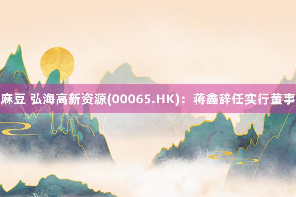 麻豆 弘海高新资源(00065.HK)：蒋鑫辞任实行董事