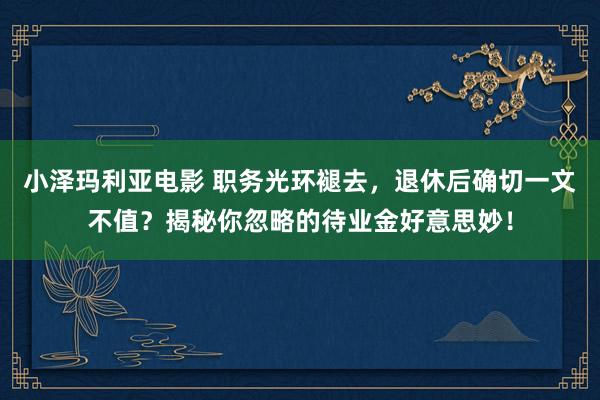 小泽玛利亚电影 职务光环褪去，退休后确切一文不值？揭秘你忽略的待业金好意思妙！