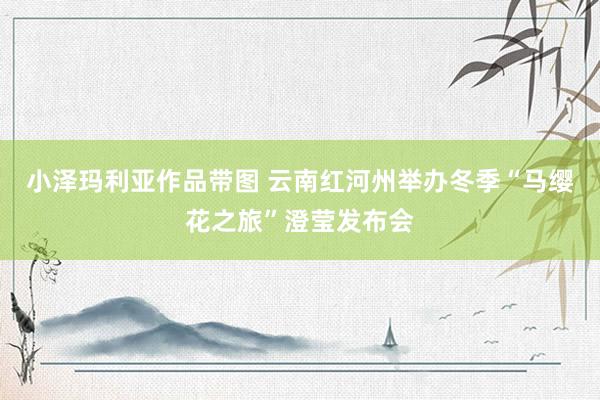 小泽玛利亚作品带图 云南红河州举办冬季“马缨花之旅”澄莹发布会