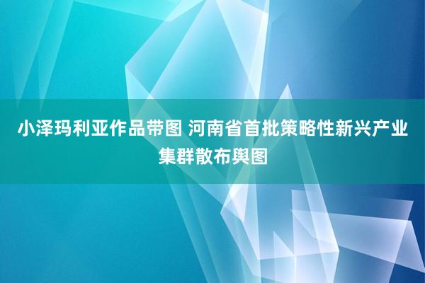 小泽玛利亚作品带图 河南省首批策略性新兴产业集群散布舆图