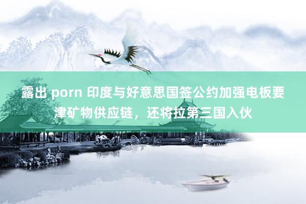 露出 porn 印度与好意思国签公约加强电板要津矿物供应链，还将拉第三国入伙