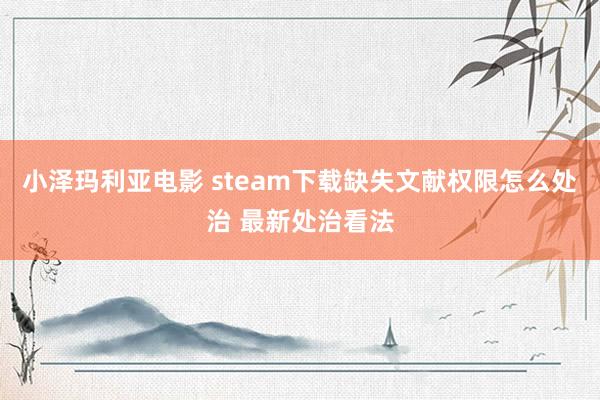 小泽玛利亚电影 steam下载缺失文献权限怎么处治 最新处治看法