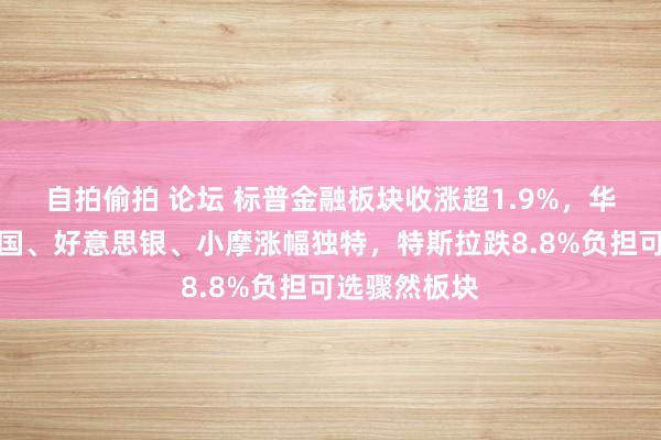 自拍偷拍 论坛 标普金融板块收涨超1.9%，华尔街大行富国、好意思银、小摩涨幅独特，特斯拉跌8.8%负担可选骤然板块