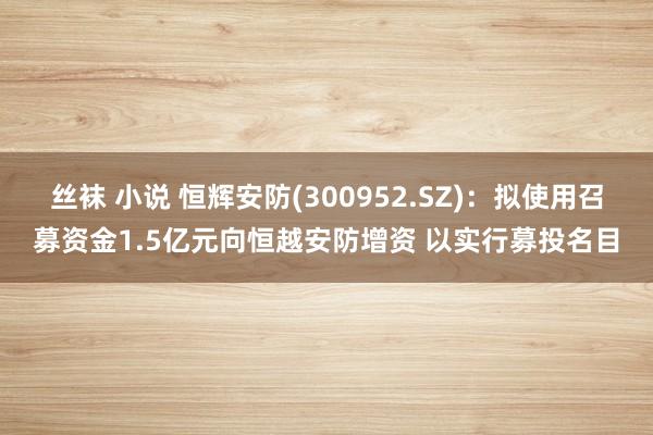 丝袜 小说 恒辉安防(300952.SZ)：拟使用召募资金1.5亿元向恒越安防增资 以实行募投名目