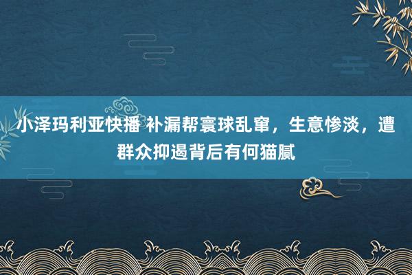 小泽玛利亚快播 补漏帮寰球乱窜，生意惨淡，遭群众抑遏背后有何猫腻