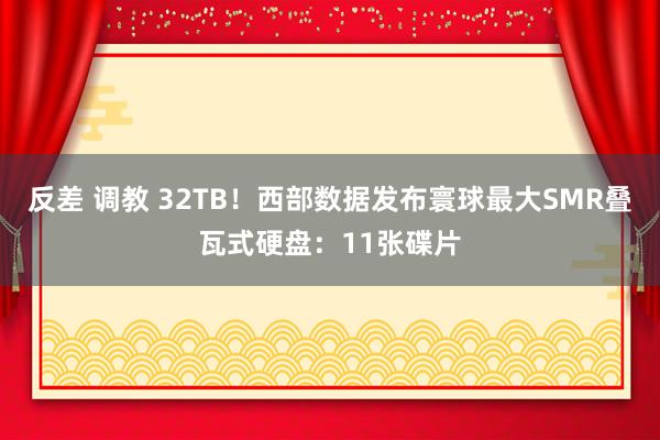 反差 调教 32TB！西部数据发布寰球最大SMR叠瓦式硬盘：11张碟片