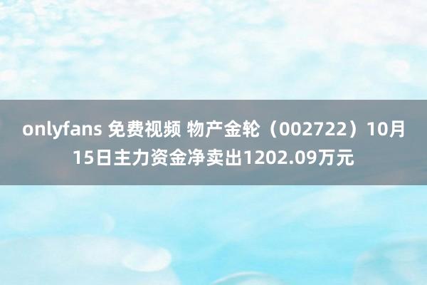 onlyfans 免费视频 物产金轮（002722）10月15日主力资金净卖出1202.09万元