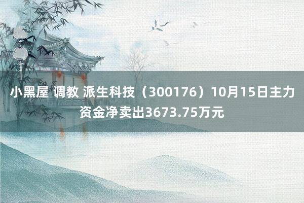 小黑屋 调教 派生科技（300176）10月15日主力资金净卖出3673.75万元