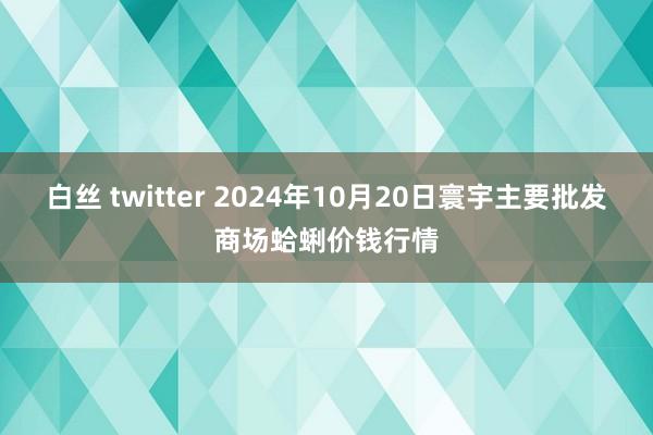 白丝 twitter 2024年10月20日寰宇主要批发商场蛤蜊价钱行情