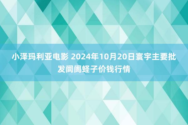 小泽玛利亚电影 2024年10月20日寰宇主要批发阛阓蛏子价钱行情