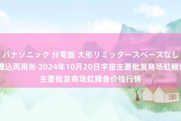 パナソニック 分電盤 大形リミッタースペースなし 露出・半埋込両用形 2024年10月20日宇宙主要批发商场虹鳟鱼价钱行情