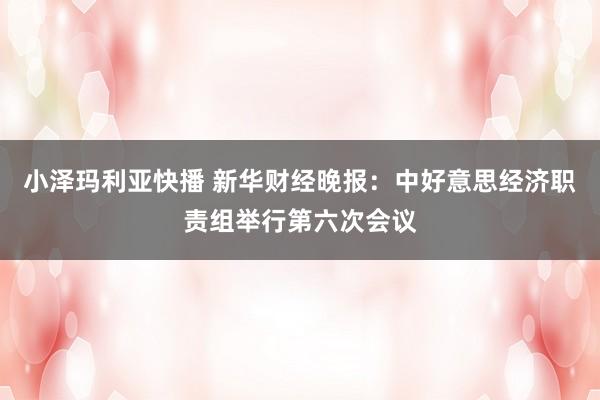 小泽玛利亚快播 新华财经晚报：中好意思经济职责组举行第六次会议