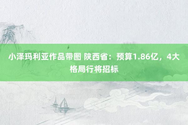 小泽玛利亚作品带图 陕西省：预算1.86亿，4大格局行将招标