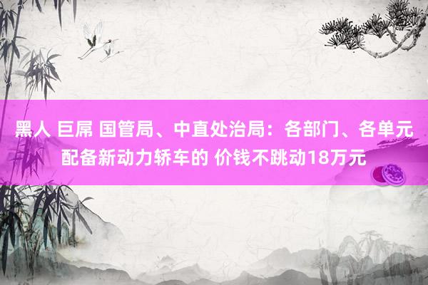 黑人 巨屌 国管局、中直处治局：各部门、各单元配备新动力轿车的 价钱不跳动18万元