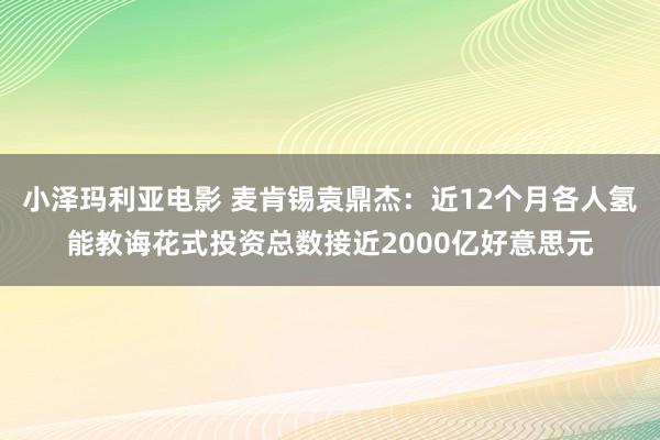 小泽玛利亚电影 麦肯锡袁鼎杰：近12个月各人氢能教诲花式投资总数接近2000亿好意思元