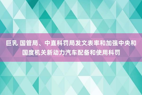 巨乳 国管局、中直科罚局发文表率和加强中央和国度机关新动力汽车配备和使用科罚