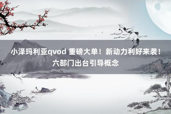 小泽玛利亚qvod 重磅大单！新动力利好来袭！六部门出台引导概念