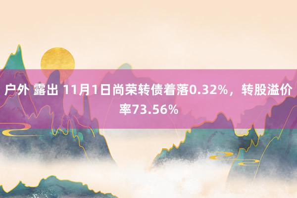 户外 露出 11月1日尚荣转债着落0.32%，转股溢价率73.56%