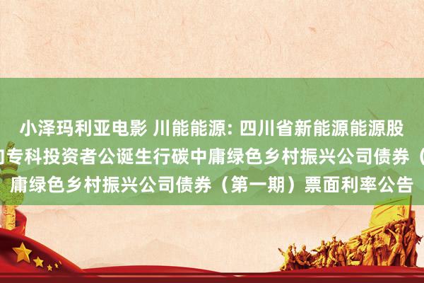 小泽玛利亚电影 川能能源: 四川省新能源能源股份有限公司2024年面向专科投资者公诞生行碳中庸绿色乡村振兴公司债券（第一期）票面利率公告