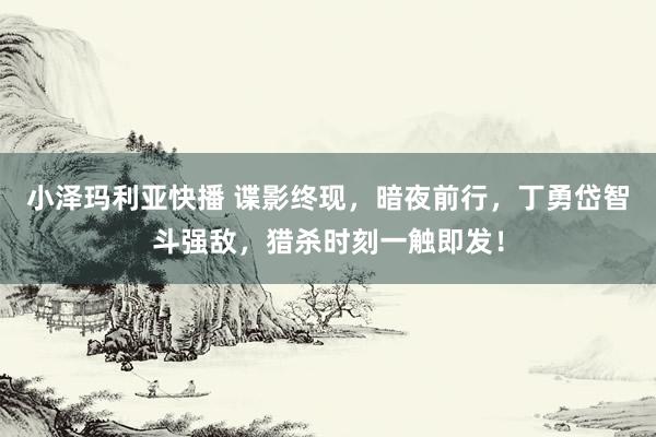 小泽玛利亚快播 谍影终现，暗夜前行，丁勇岱智斗强敌，猎杀时刻一触即发！