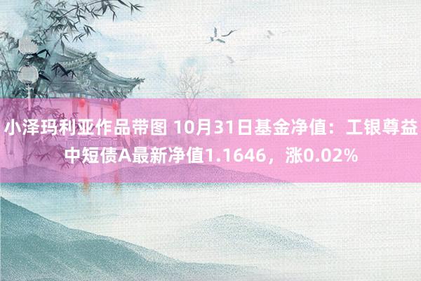 小泽玛利亚作品带图 10月31日基金净值：工银尊益中短债A最新净值1.1646，涨0.02%