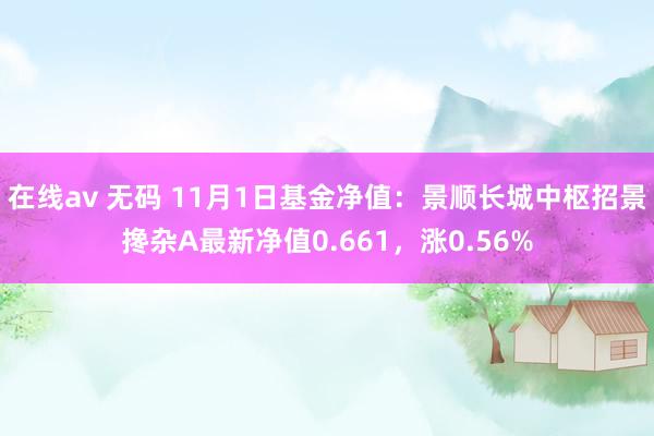 在线av 无码 11月1日基金净值：景顺长城中枢招景搀杂A最新净值0.661，涨0.56%