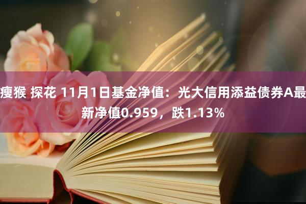 瘦猴 探花 11月1日基金净值：光大信用添益债券A最新净值0.959，跌1.13%