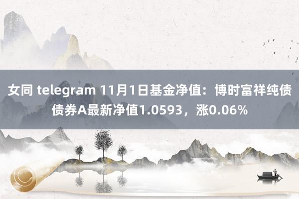 女同 telegram 11月1日基金净值：博时富祥纯债债券A最新净值1.0593，涨0.06%