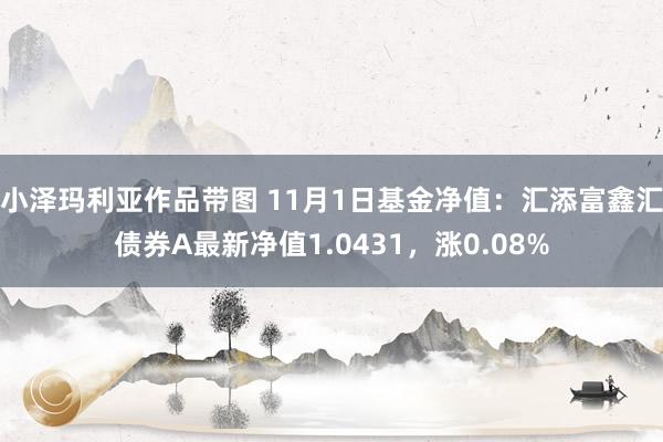 小泽玛利亚作品带图 11月1日基金净值：汇添富鑫汇债券A最新净值1.0431，涨0.08%