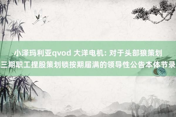 小泽玛利亚qvod 大洋电机: 对于头部狼策划三期职工捏股策划锁按期届满的领导性公告本体节录