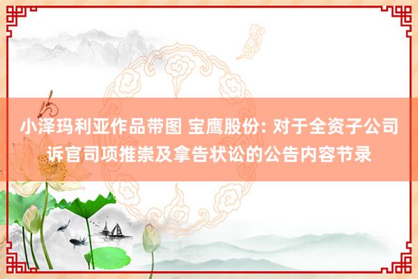 小泽玛利亚作品带图 宝鹰股份: 对于全资子公司诉官司项推崇及拿告状讼的公告内容节录