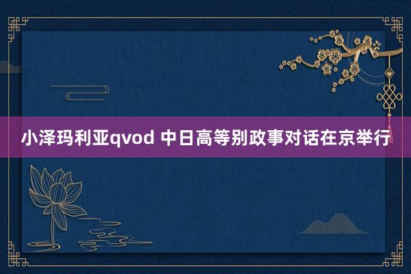 小泽玛利亚qvod 中日高等别政事对话在京举行