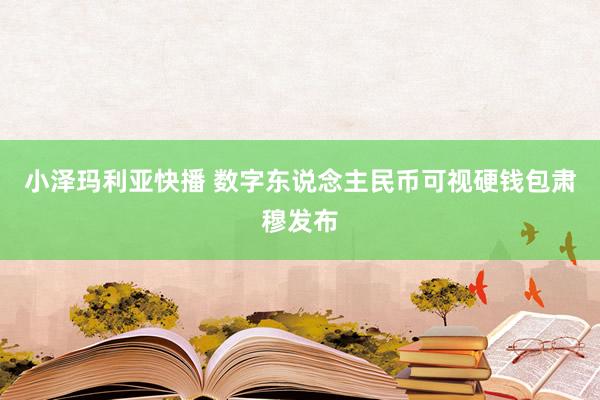 小泽玛利亚快播 数字东说念主民币可视硬钱包肃穆发布