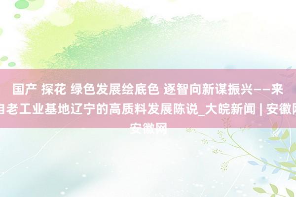 国产 探花 绿色发展绘底色 逐智向新谋振兴——来自老工业基地辽宁的高质料发展陈说_大皖新闻 | 安徽网