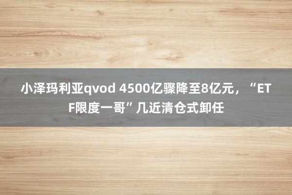 小泽玛利亚qvod 4500亿骤降至8亿元，“ETF限度一哥”几近清仓式卸任