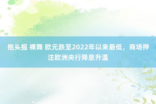 抱头摇 裸舞 欧元跌至2022年以来最低，商场押注欧洲央行降息升温